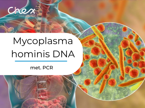 Mycoplasma hominis DNA met. PCR