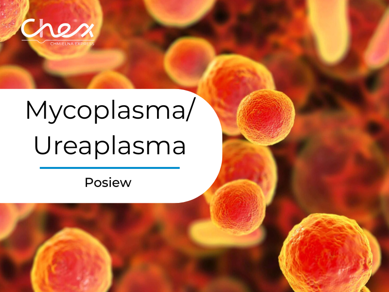 Mycoplasma/Ureaplasma