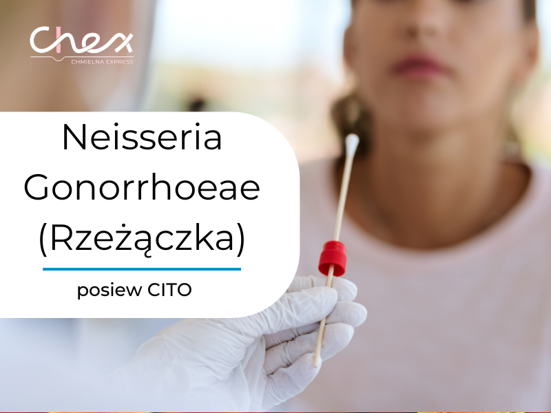 Neisseria Gonorrhoeae (Rzeżączka) - posiew CITO
