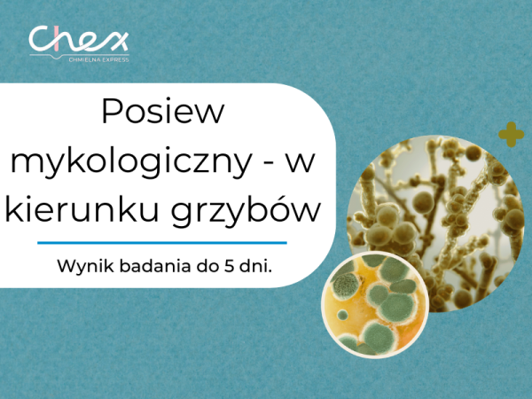 Posiew mykologiczny - w kierunku grzybów
