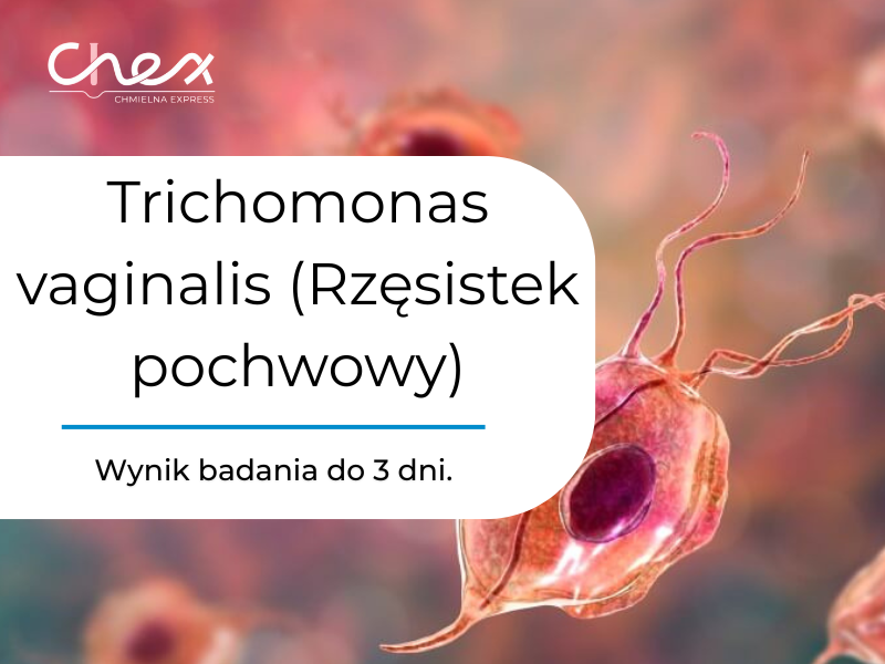 Trichomonas vaginalis (Rzęsistek pochwowy)