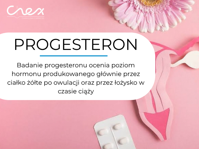 PROGESTERON