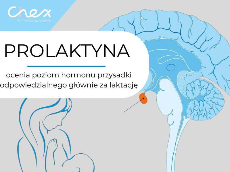 PROLAKTYNA
