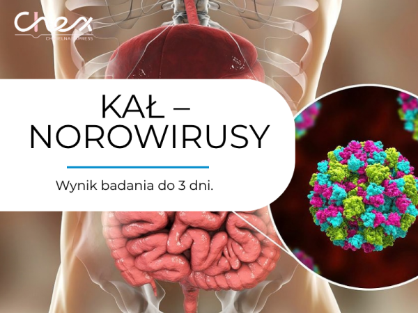 KAŁ – NOROWIRUSY