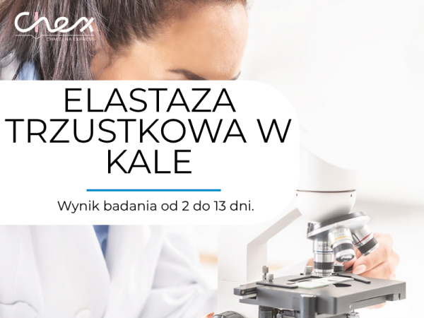 ELASTAZA TRZUSTKOWA W KALE