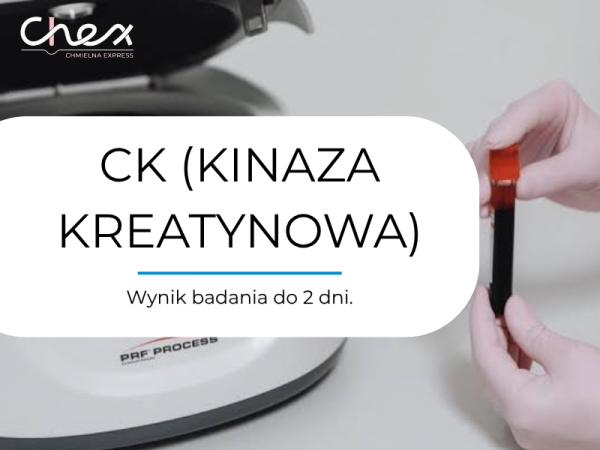 CK (KINAZA KREATYNOWA)