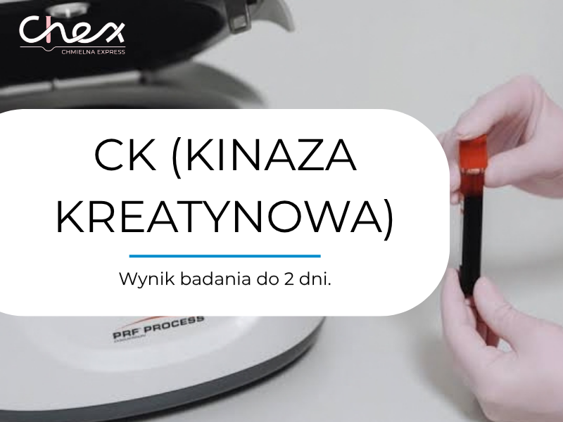 CK (KINAZA KREATYNOWA)