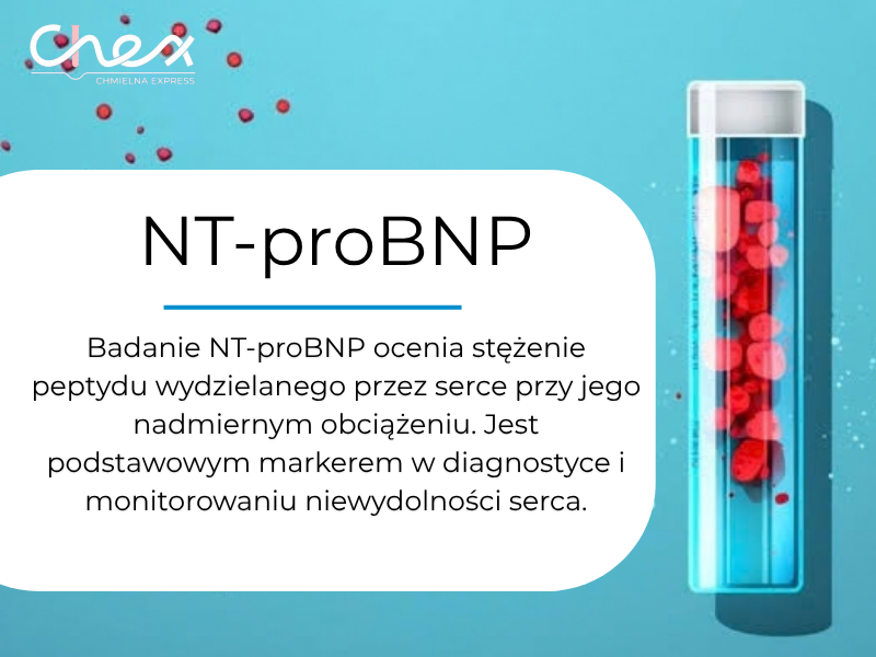 NT-proBNP