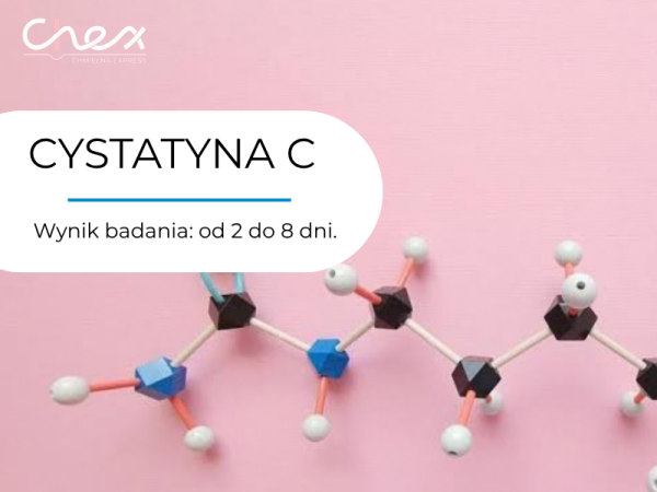 CYSTATYNA C