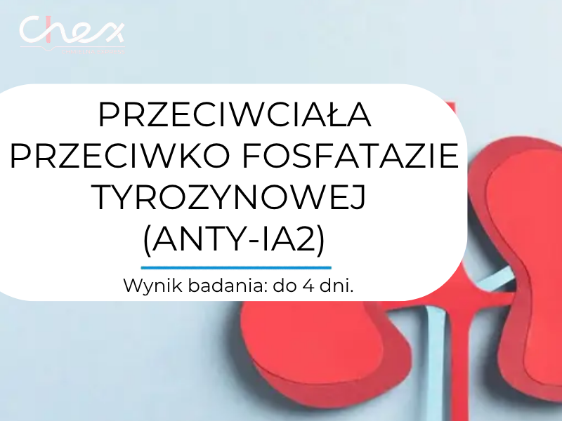 PRZECIWCIAŁA PRZECIWKO FOSFATAZIE TYROZYNOWEJ (ANTY-IA2)