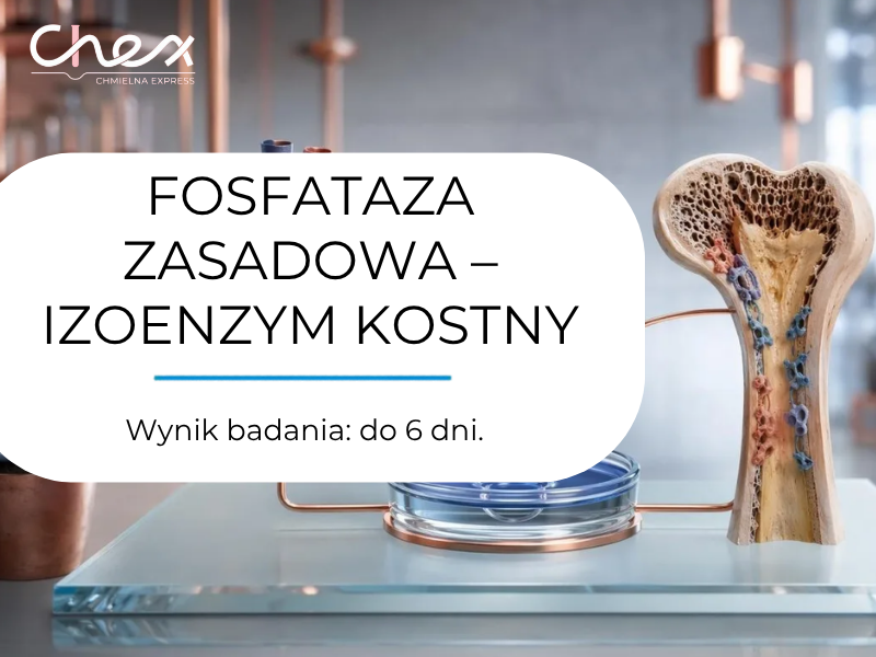FOSFATAZA ZASADOWA – IZOENZYM KOSTNY