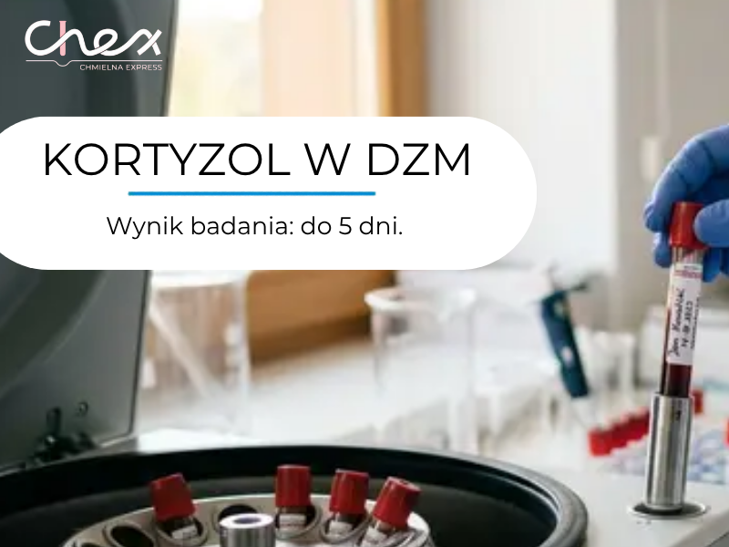 KORTYZOL W DZM