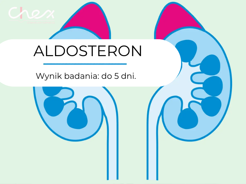 ALDOSTERON