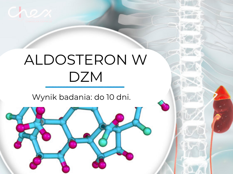 ALDOSTERON W DZM