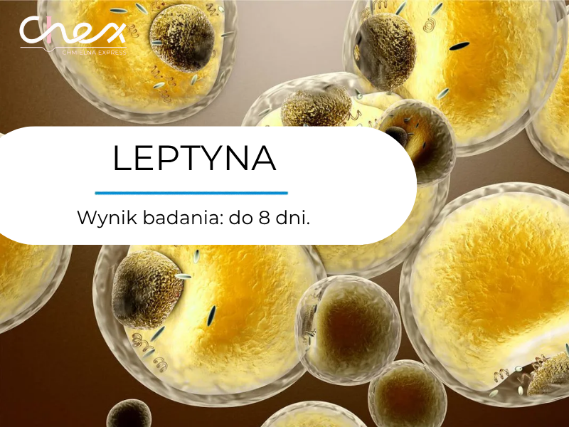 LEPTYNA