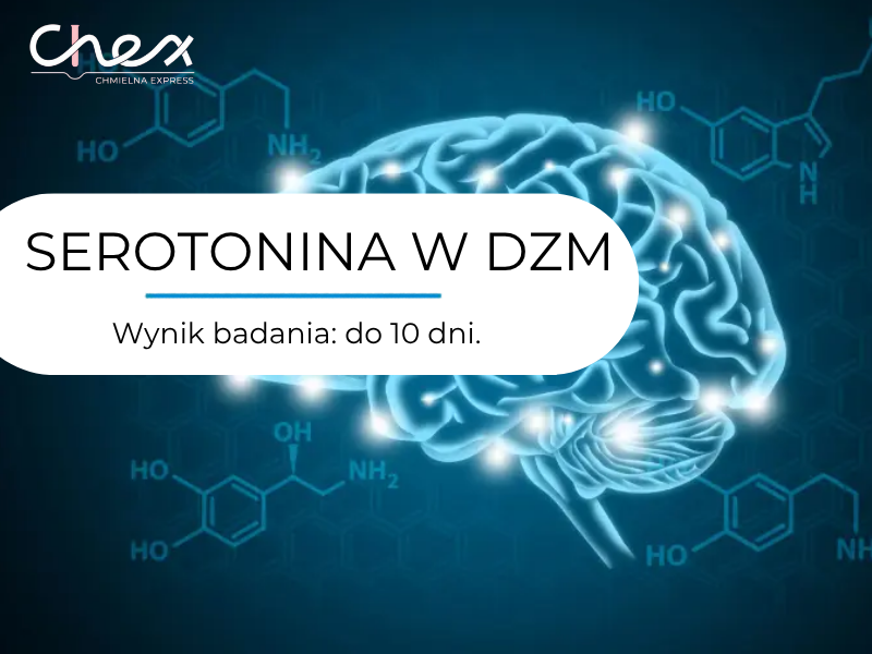 SEROTONINA W DZM