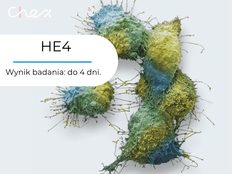 HE4