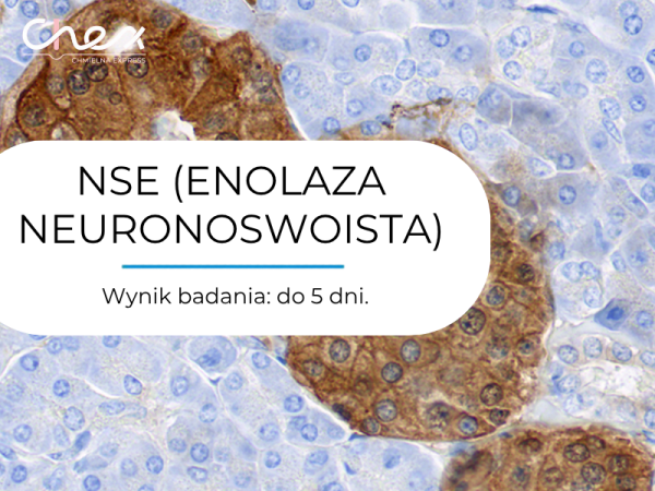 NSE (ENOLAZA NEURONOSWOISTA)