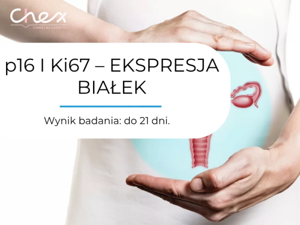 p16 I Ki67 – EKSPRESJA BIAŁEK