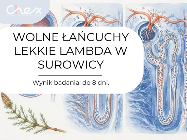 WOLNE ŁAŃCUCHY LEKKIE LAMBDA W SUROWICY