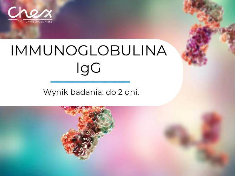 IMMUNOGLOBULINA IgG