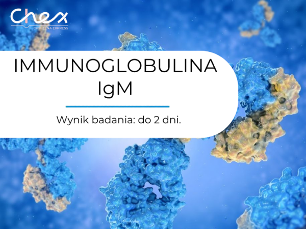 IMMUNOGLOBULINA IgM