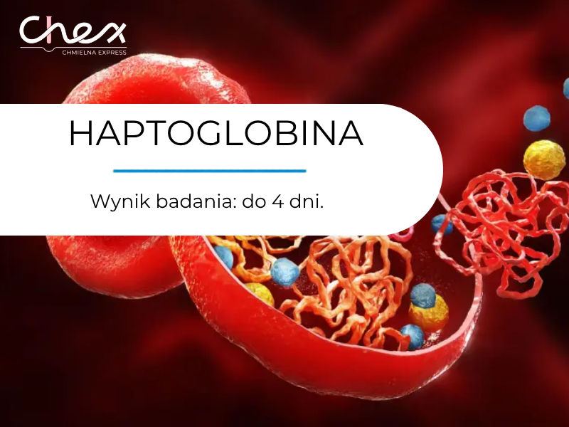 HAPTOGLOBINA