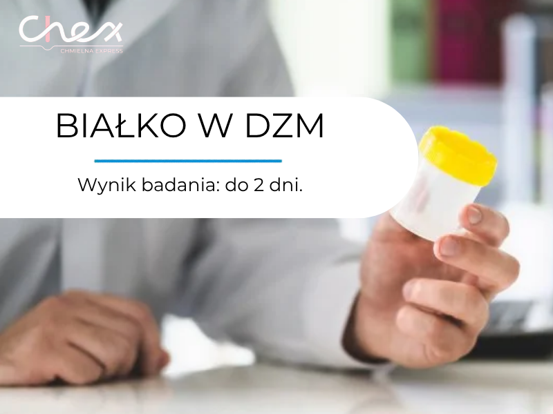 BIAŁKO W DZM