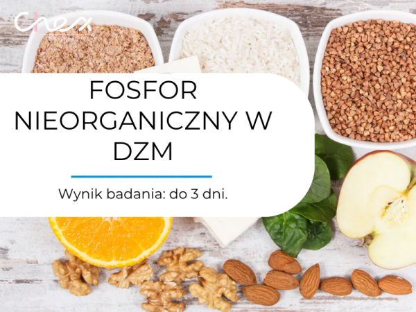 FOSFOR NIEORGANICZNY W DZM