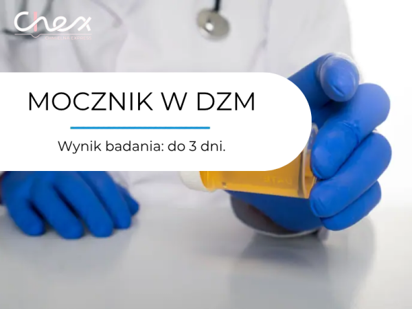 MOCZNIK W DZM