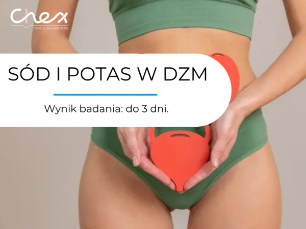 SÓD I POTAS W DZM
