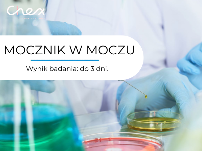 MOCZNIK W MOCZU