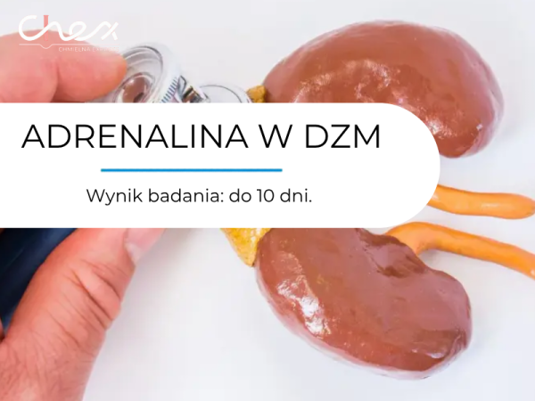 ADRENALINA W DZM