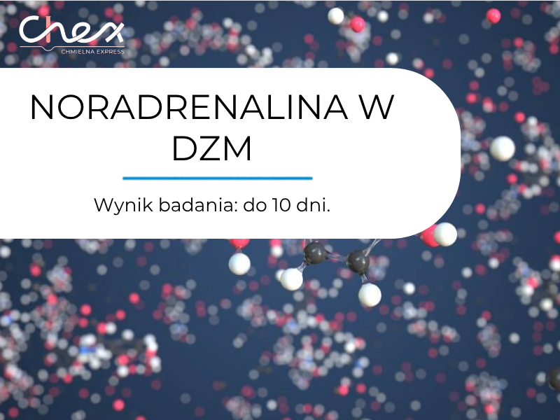 NORADRENALINA W DZM