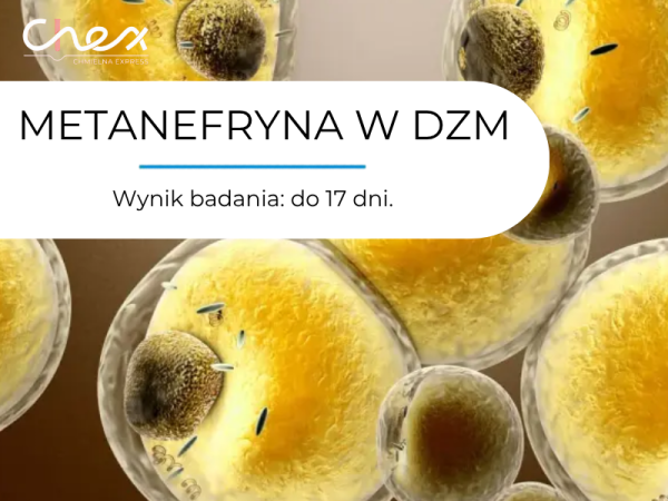 METANEFRYNA W DZM